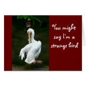 "YOU MIGHT SAY I'M A STRANGE BIRD..." /UNUSUAL LOO (Front Horizontal)