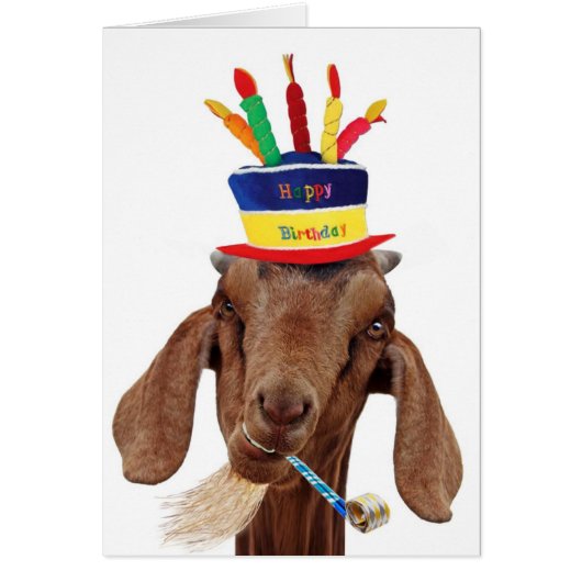 You Ol' Goat Cards (Front)