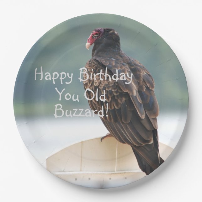 You Old Buzzard Birthday Paper Plates (Front)