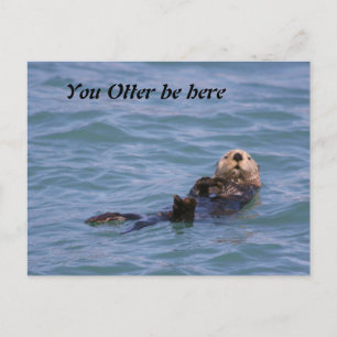 You Otter be here Postcard
