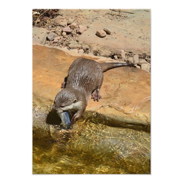 You Otter Not Talk To Me I'm Eating Photo Print (Front)
