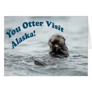 You Otter Visit Alaska Cards