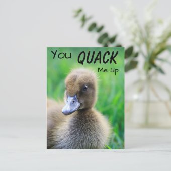 You Quack Me Up Duckling Postcard | Zazzle