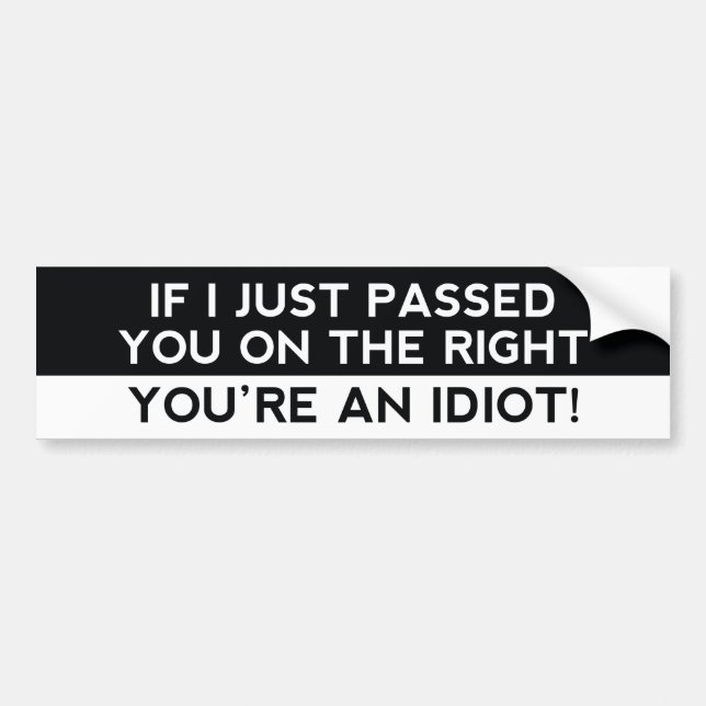 You’re An Idiot! Bumper Sticker (Front)