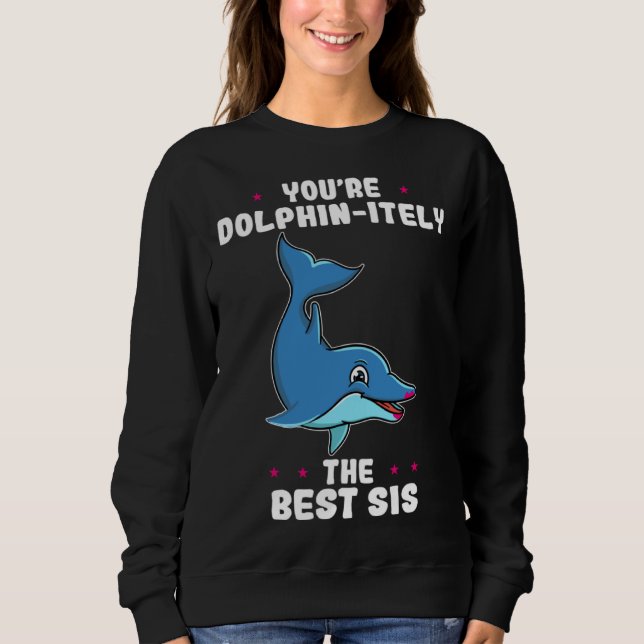 You re Dolphin itely The Best Sis Siblings Day Dol Sweatshirt (Front)