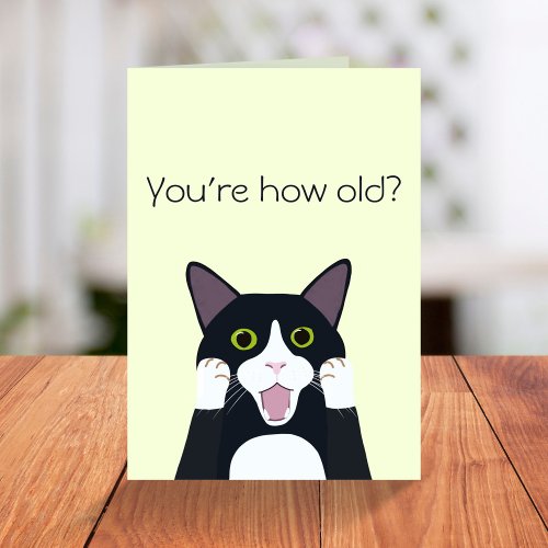 Youre how old funny cat over the hill birthday card