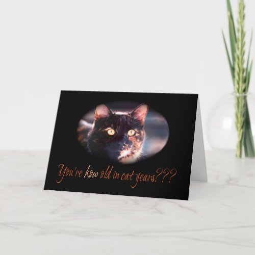 Youre How Old Kitty Cat Birthday Card