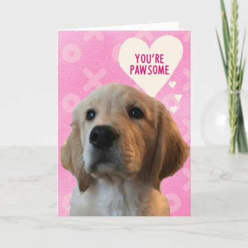 Youre PAWSOME Golden Love Valentines Day Card