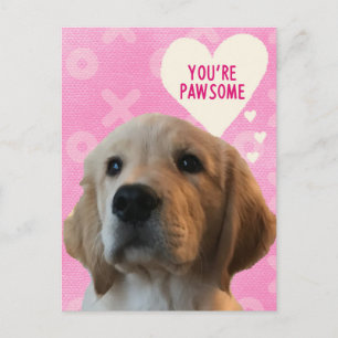 You’re PAWSOME Golden Valentine’s Day Postcard