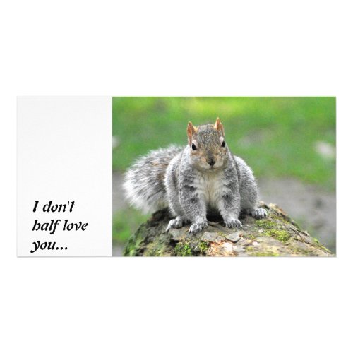 Youre telling me I am a dog in a squirrels body Card
