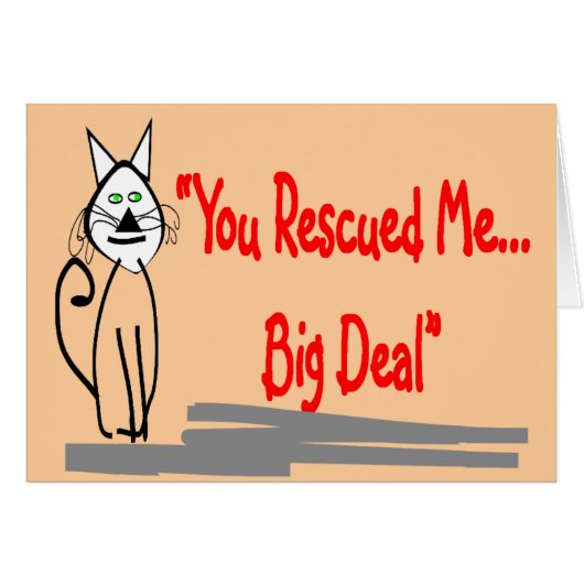 "You Rescued Me, Big Deal"--Cat Lovers Gifts (Front Horizontal)