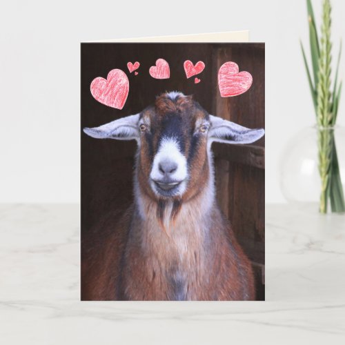 You Rock My World Goat Valentine Holiday Card