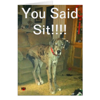 You Said Sit!!!!! Cards