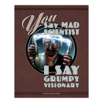 YOU Say Mad Scientist... poster (16x20")