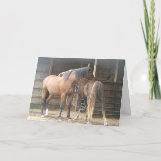 You Scratch My Back......... Letterpress Thank You Card