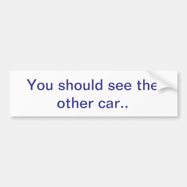 You shoud see the other car bumper sticker (Front)