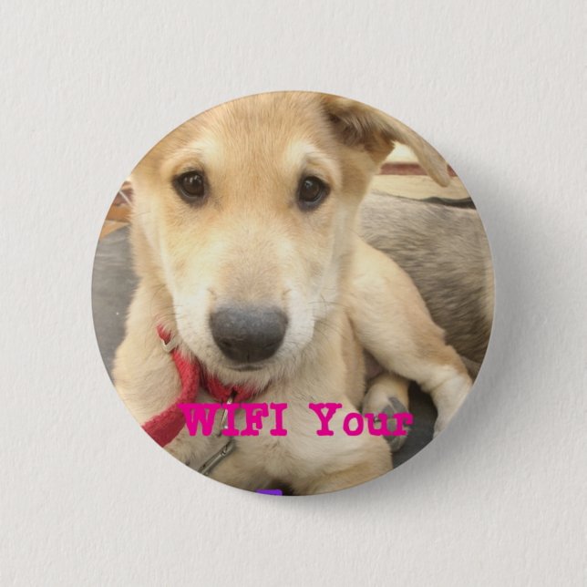 You Should WIFI Your Love Everyday Button (Front)