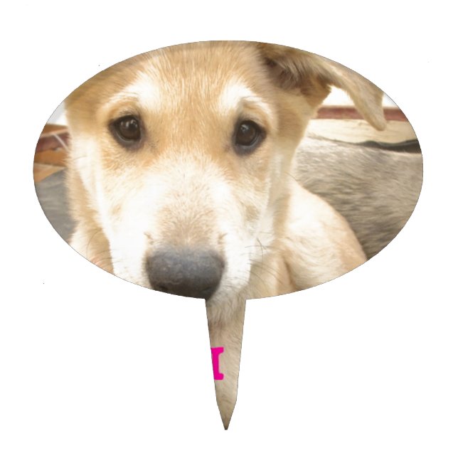 You Should WIFI Your Love Everyday Cake Topper (Front)