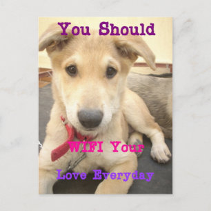 You Should WIFI Your Love Everyday Postcard