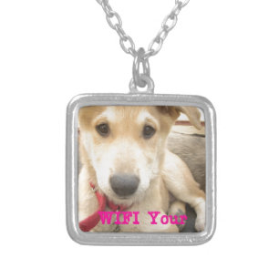 You Should WIFI Your Love Everyday Silver Plated Necklace