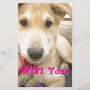 You Should WIFI Your Love Everyday Stationery