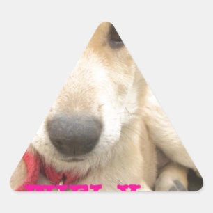 You Should WIFI Your Love Everyday Triangle Sticker