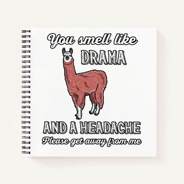 You Smell Like Drama And A Headache Funny Gift Notebook (Front)
