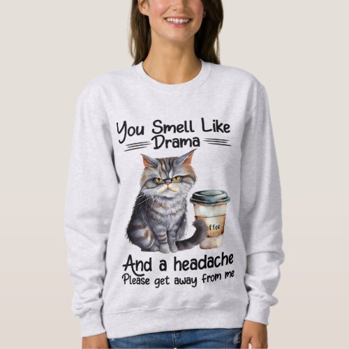 You Smell Like Drama Funny Cat Quotes  Sweatshirt