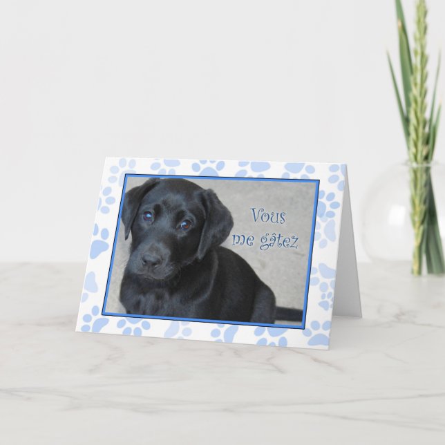 You Spoil Me - That's Cool! French Card (Front)
