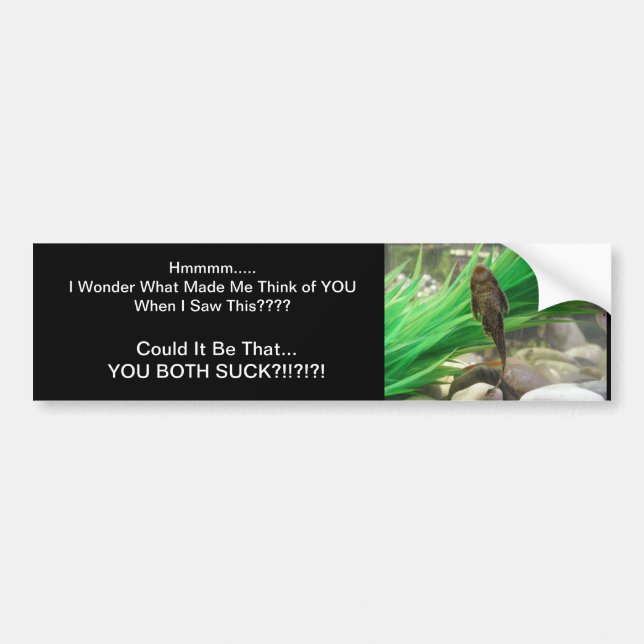 You Suck Bumper Sticker (Front)