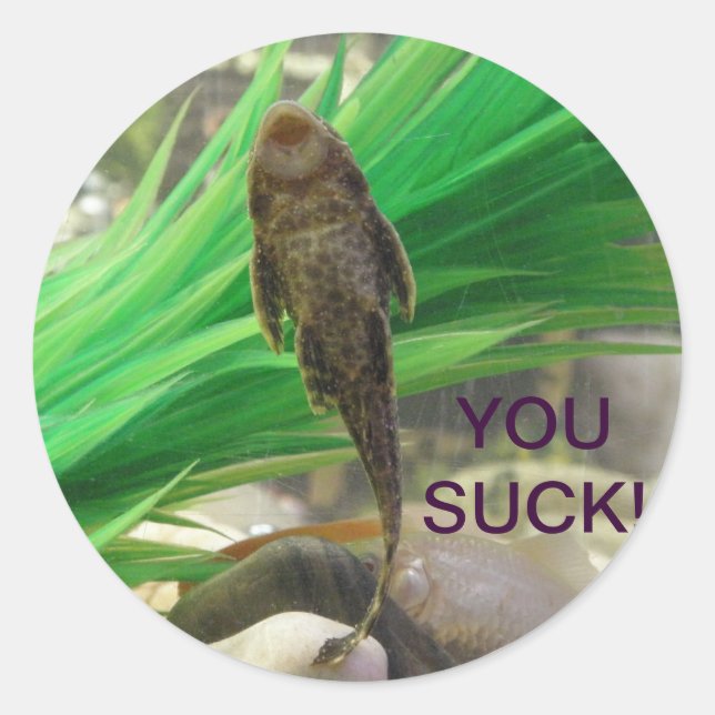 You Suck Sticker!!! Classic Round Sticker (Front)