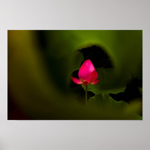 You_The Only  Lotus Fairyland Photographic Art _7 Poster