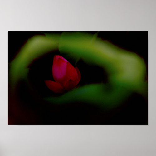 You_The Only  Lotus Fairyland Photographic Art _8 Poster