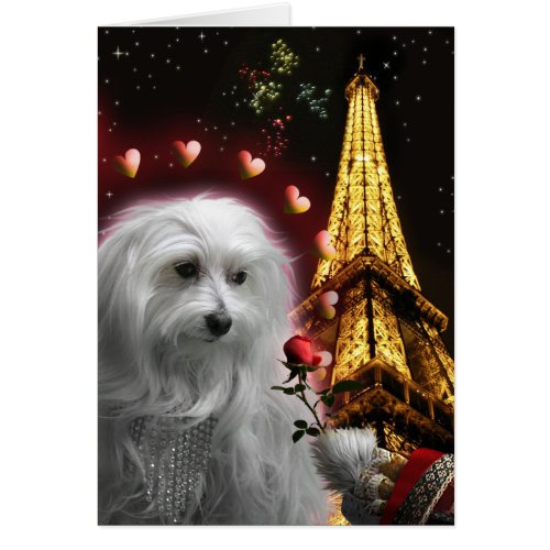 You Think You Know Love Maltese Eifel Tower