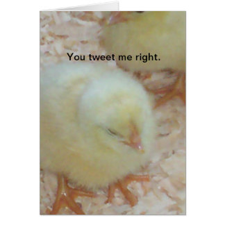 You tweet me right. cards