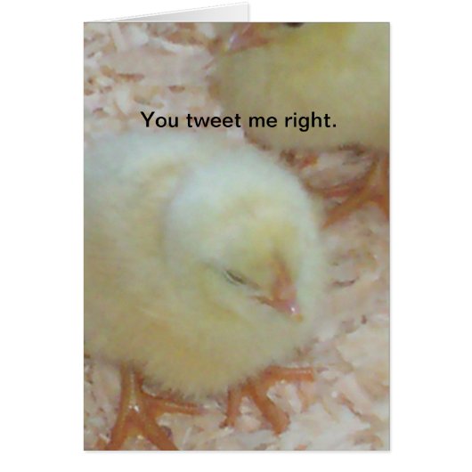 You tweet me right. cards (Front)