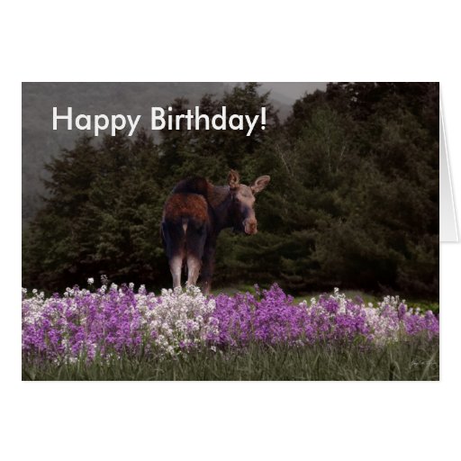 You’ve Been Mooned by a Moose! Birthday Card | Zazzle