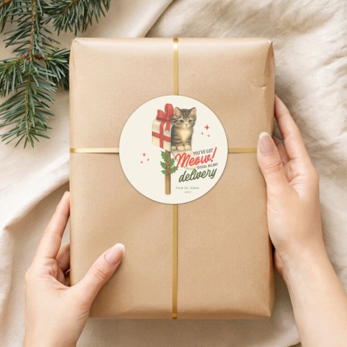 You’ve Got Meow! Special Holiday Delivery Classic Round Sticker