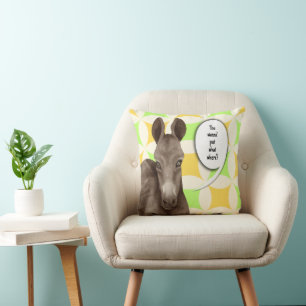 You wanna' put what where throw pillow