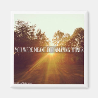 you were meant for amazing things magnet
