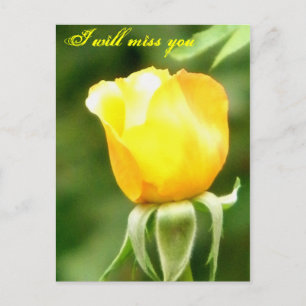 You will be missed/Any Occasions_Postcard Postcard