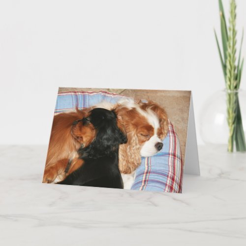 You Will Lick Cancer Cavalier King Charles Spaniel Card