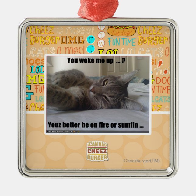 You woke me up metal ornament (Front)