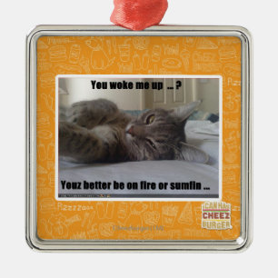You woke me up metal ornament