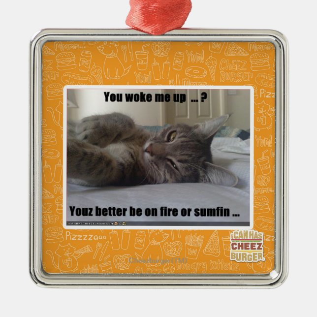 You woke me up metal ornament (Front)