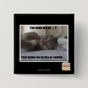 You woke me up pinback button