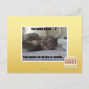You woke me up postcard