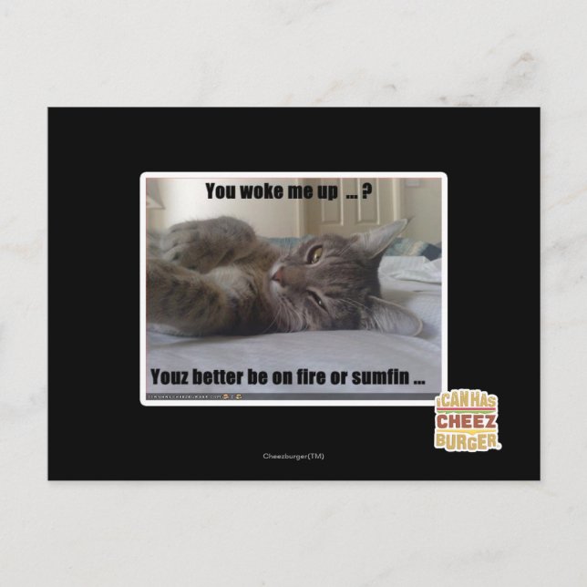 You woke me up postcard (Front)