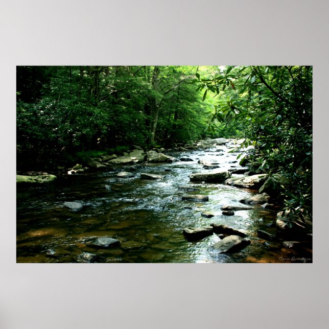 Youghiogheny River Print (Front)