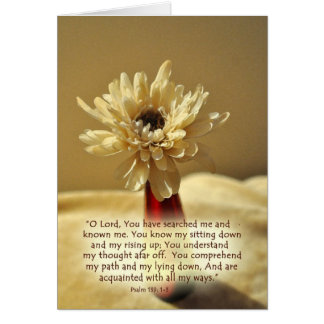 YouhavesearchedmeZazzle Cards